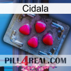 Cidala 13